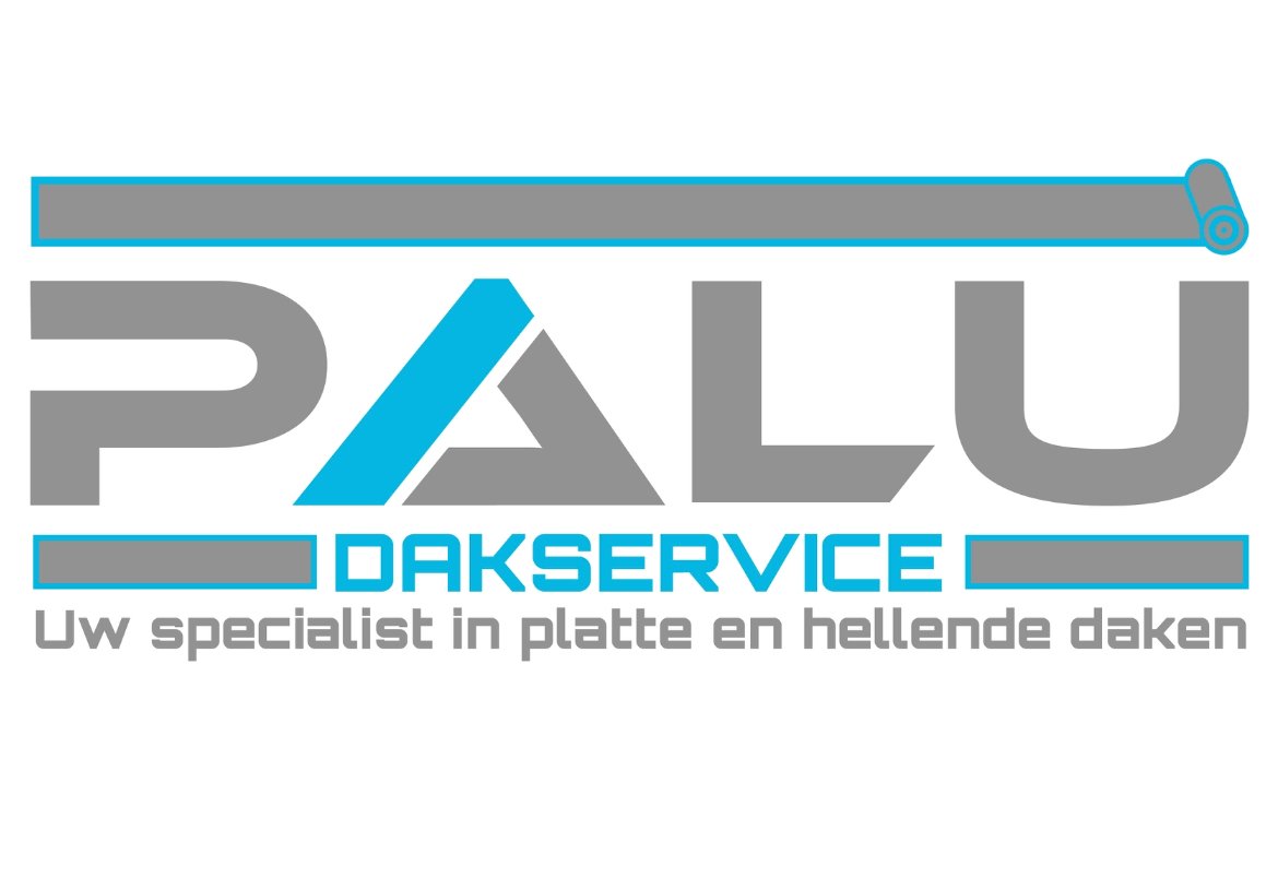 Palu dakservice logo